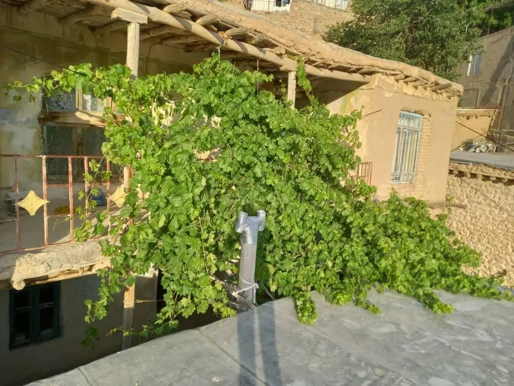 خانه روستایی در اسفیدان بجنورد