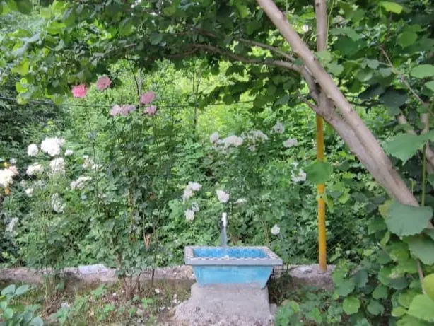 اجاره کلبه جنگلی در حیران