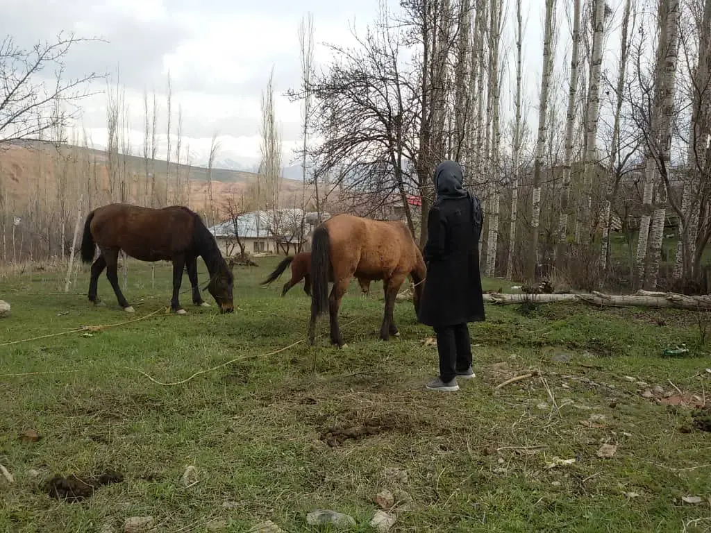  اجاره ویلا سنتی دو خوابه طالقان