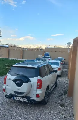 بومگردی آلاله سفید تالاب گندمان