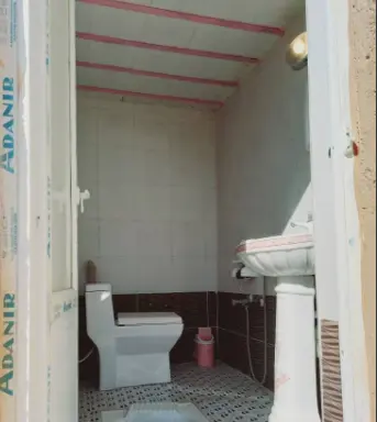 بومگردی آلاله سفید تالاب گندمان