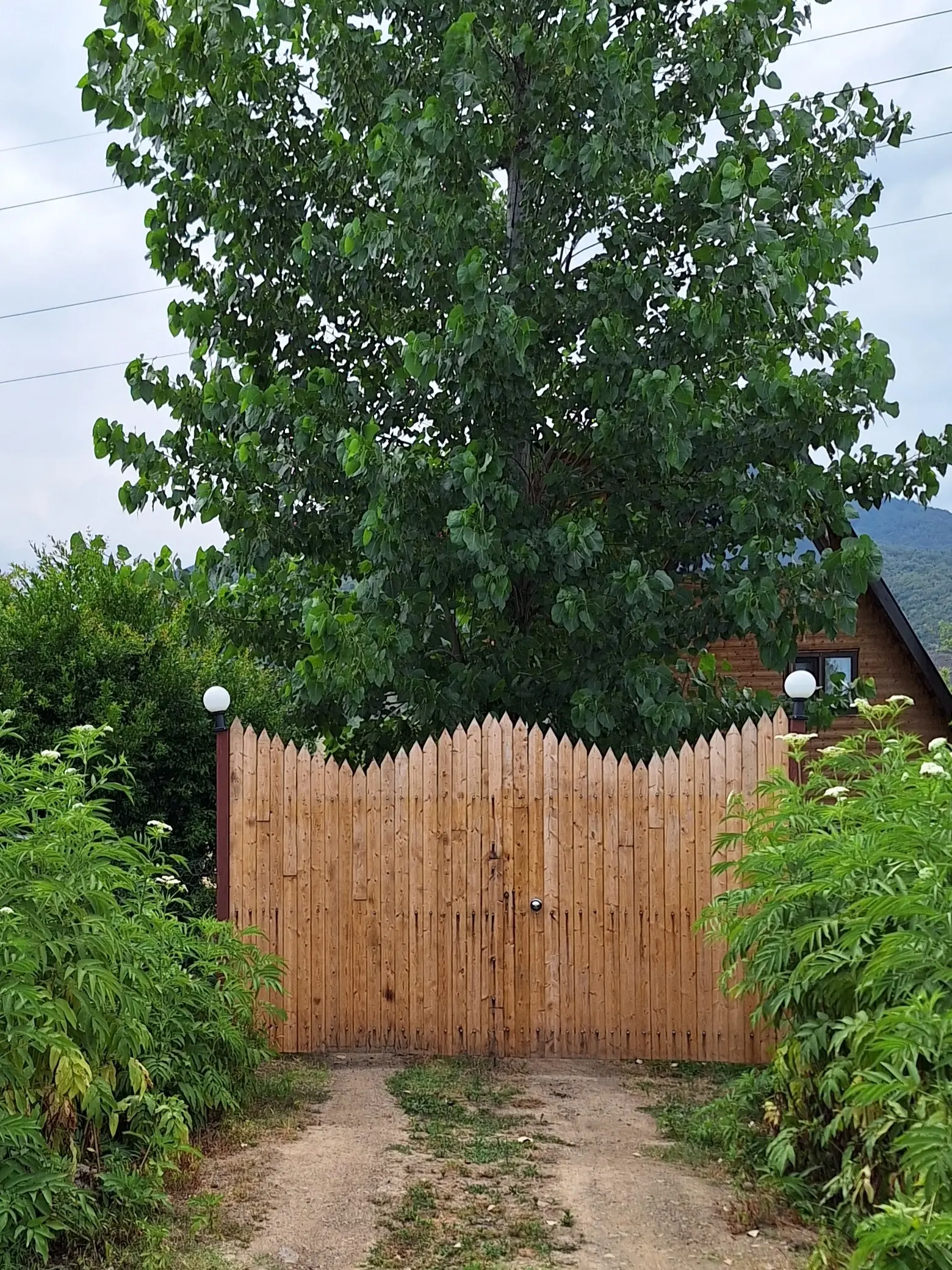 کلبه چوبی سوئیسی فرشاد