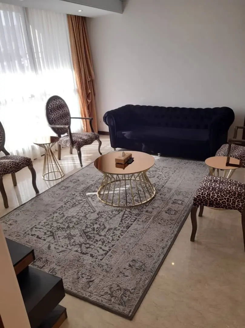 اجاره سوئیت مبله روزانه ونک تهران