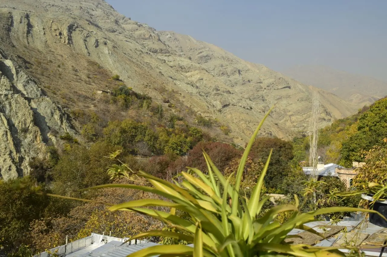 سوئیت کوهستانی بکر در درکه