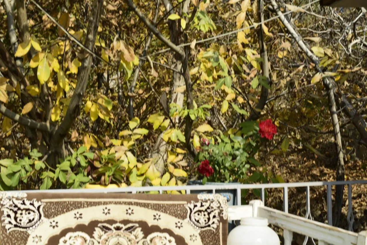 سوئیت کوهستانی بکر در درکه