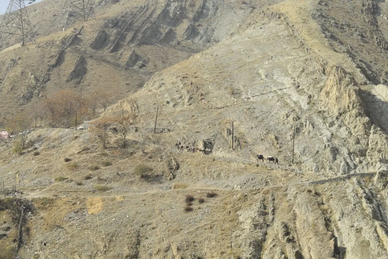 سوئیت کوهستانی بکر در درکه