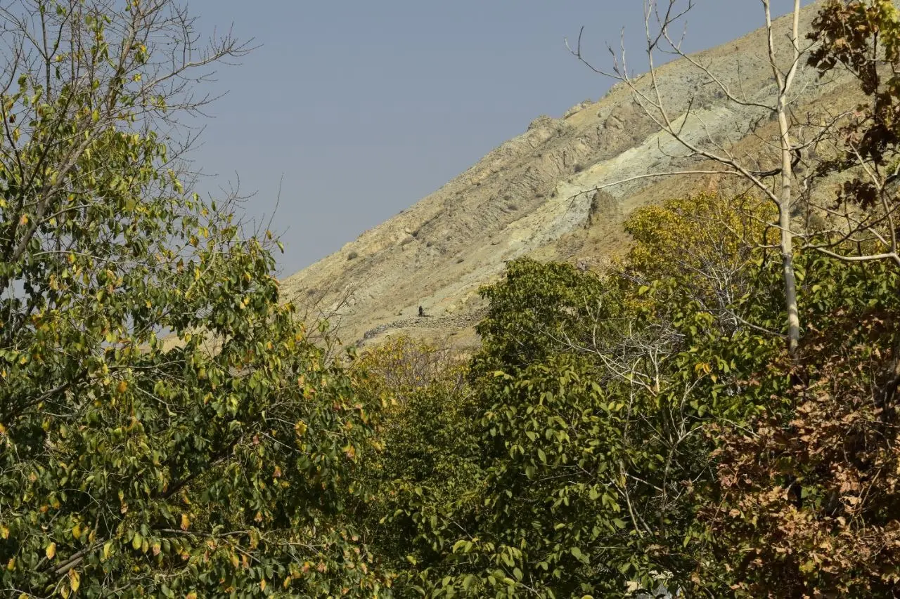 سوئیت کوهستانی بکر در درکه