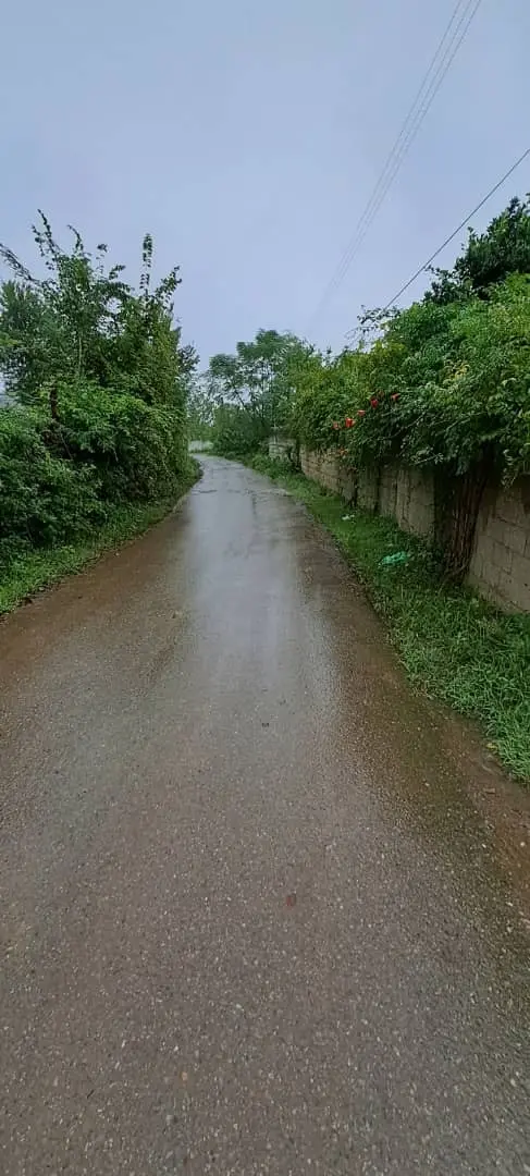 ویلا جنگلی دو خوابه هفت کیلومتری ماسال 