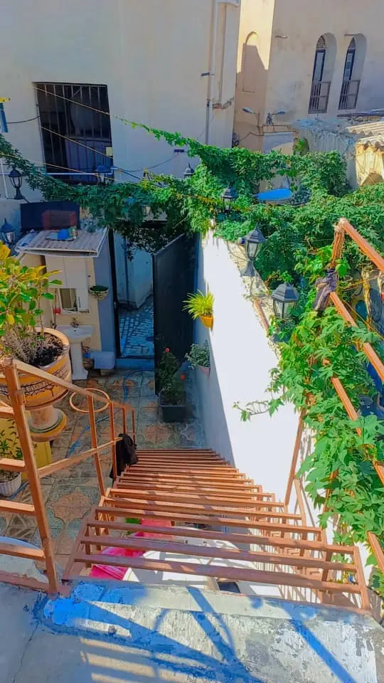سوئیت روزانه اجاره ای حیاط دار در بوشهر