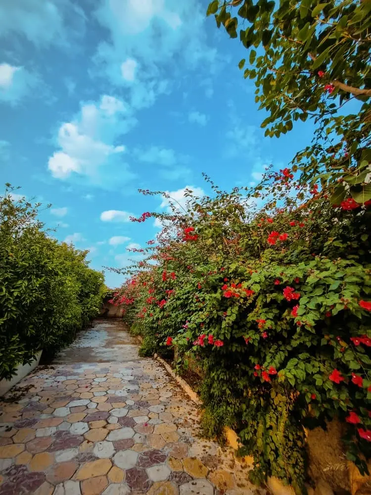 ویلا باغ مروارید در دزفول