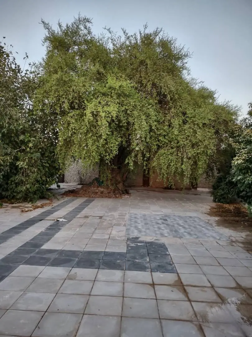 اجاره ویلا باغ کُنار در دزفول
