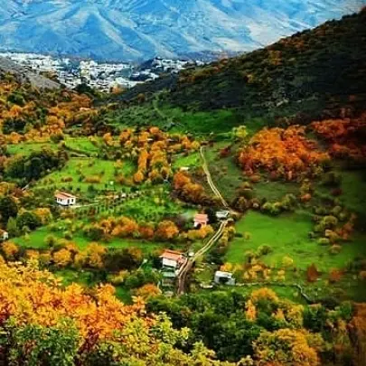 ویلای جنگلی منطقه ارسباران طبقه دوم