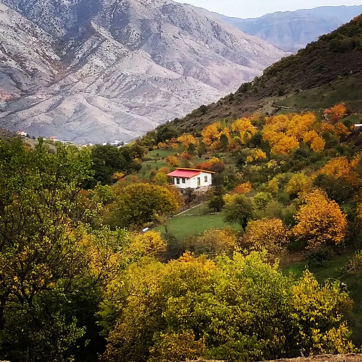 ویلای جنگلی منطقه ارسباران طبقه دوم