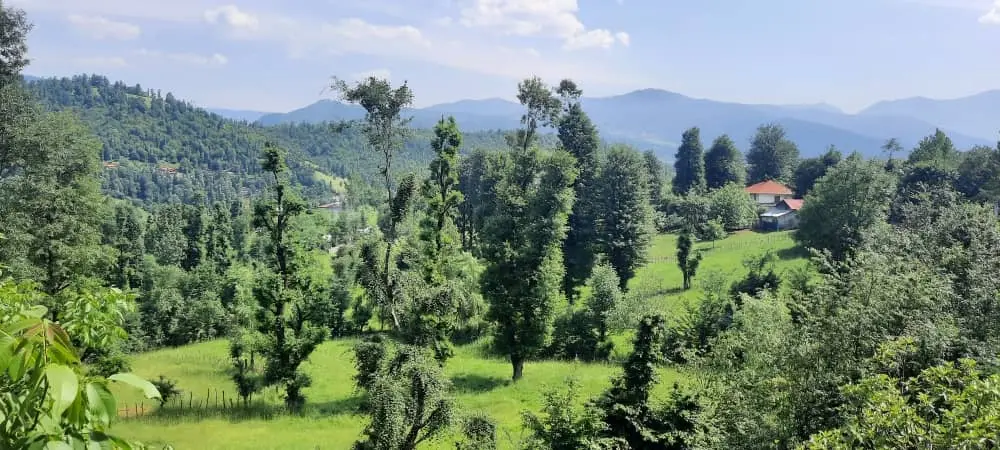 ویلا جنگلی آپادانا روستای استخرگاه