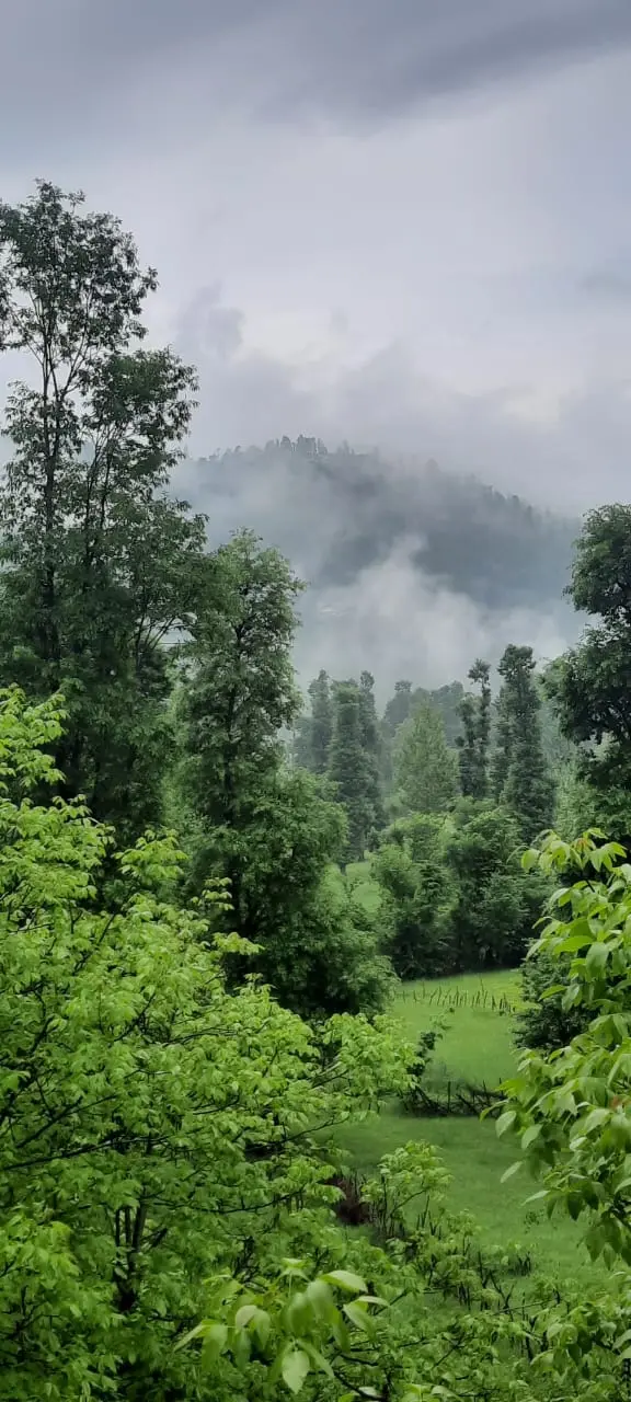 ویلا جنگلی آپادانا روستای استخرگاه