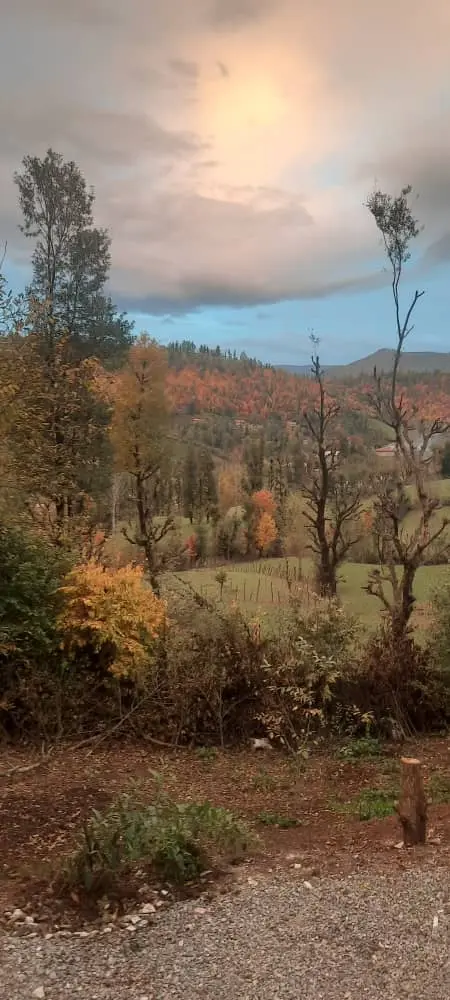 سوییت جنگلی آپادانا روستای استخرگاه - واحد یک