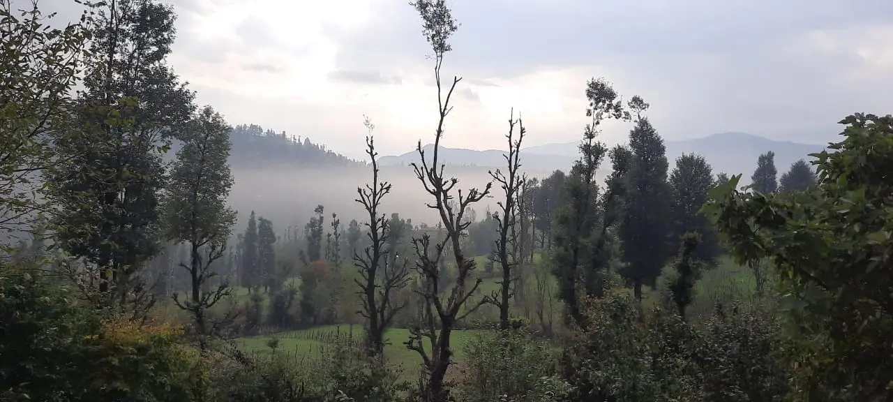 سوییت جنگلی آپادانا روستای استخرگاه - واحد یک