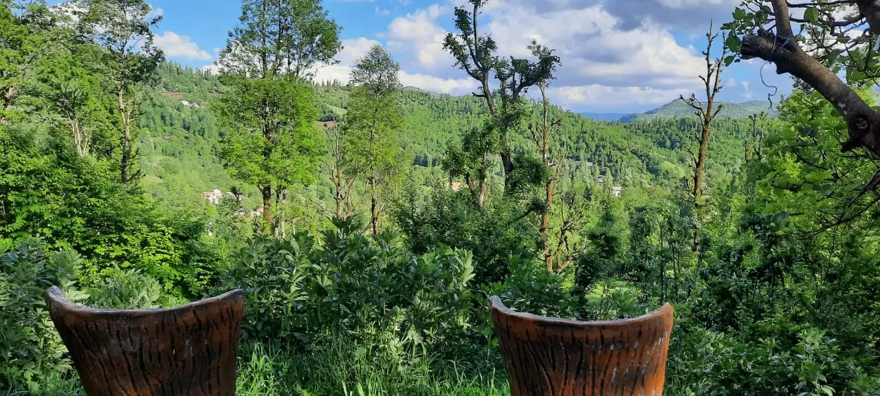 سوییت جنگلی آپادانا روستای استخرگاه - واحد یک