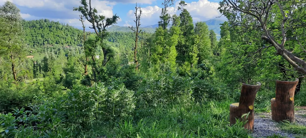 سوئیت جنگلی آپادانا روستای استخرگاه - واحد دو