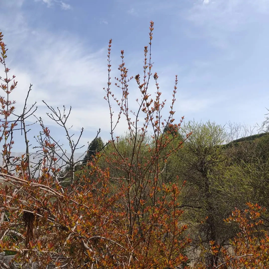 خانه سنتی ستاره دره شهر