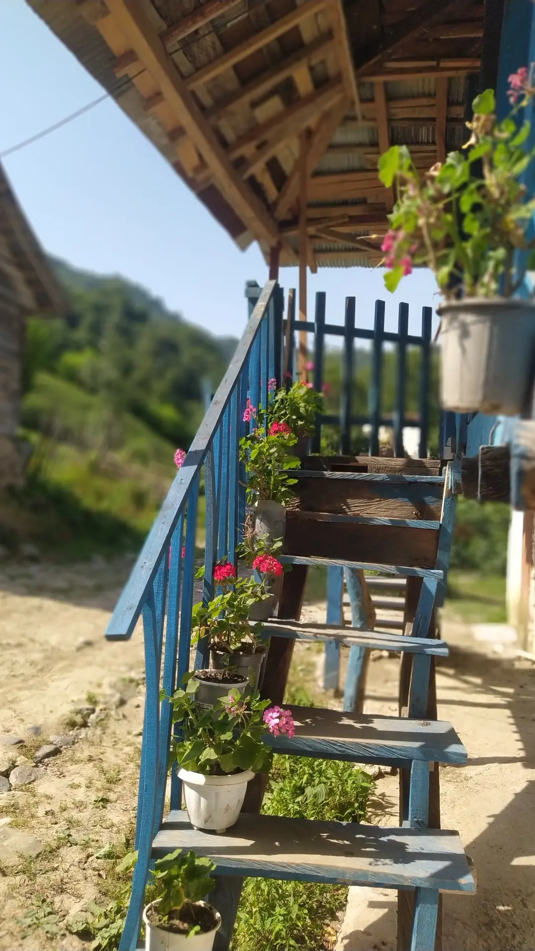 اجاره کلبه جنگلی در فومن