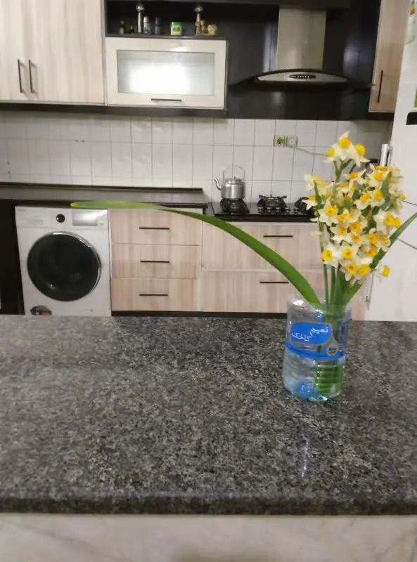 ویلایی دربست روزانه