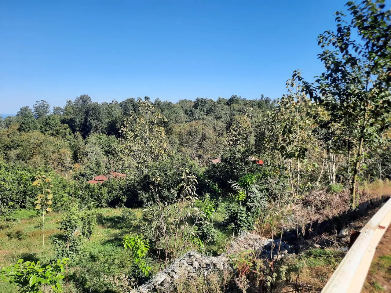 کلبه ی سبز در کنسکوه