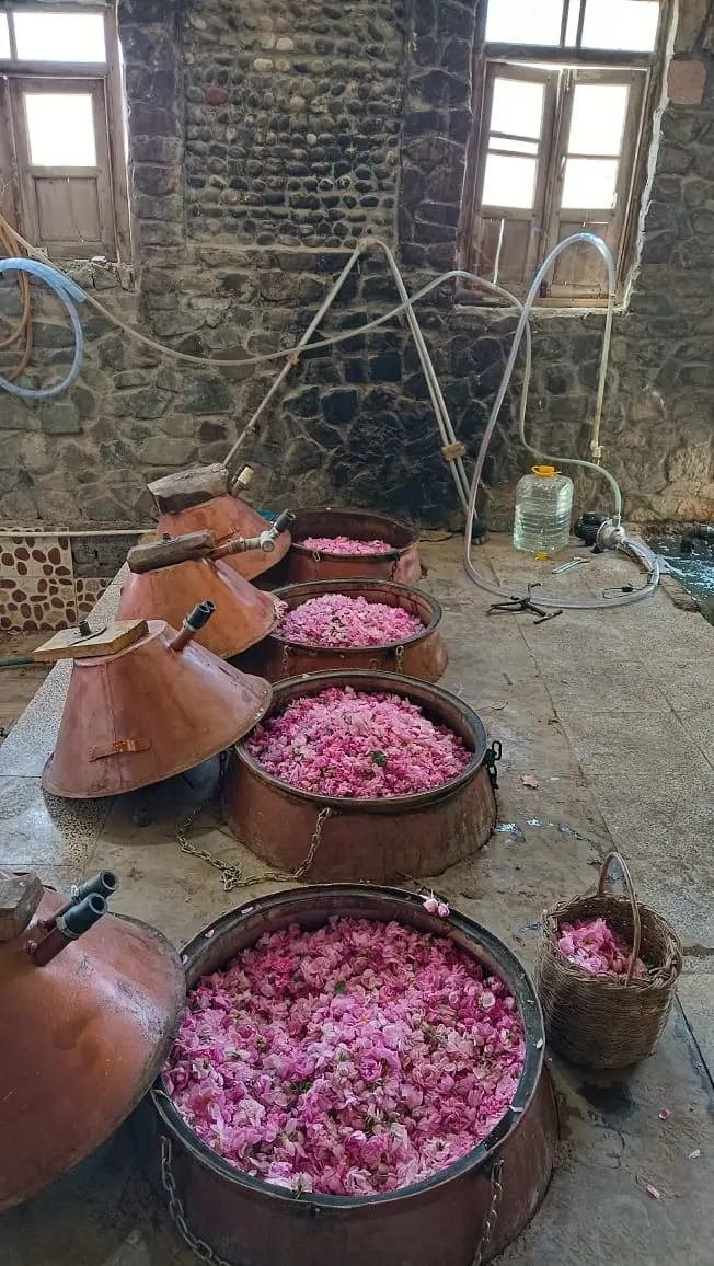 سرای آرامش VIP شهر برزک کاشان