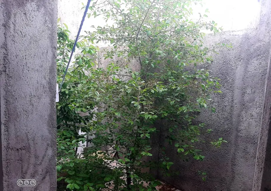 اجاره روزانه منزل حیاط دار در مشگین شهر 