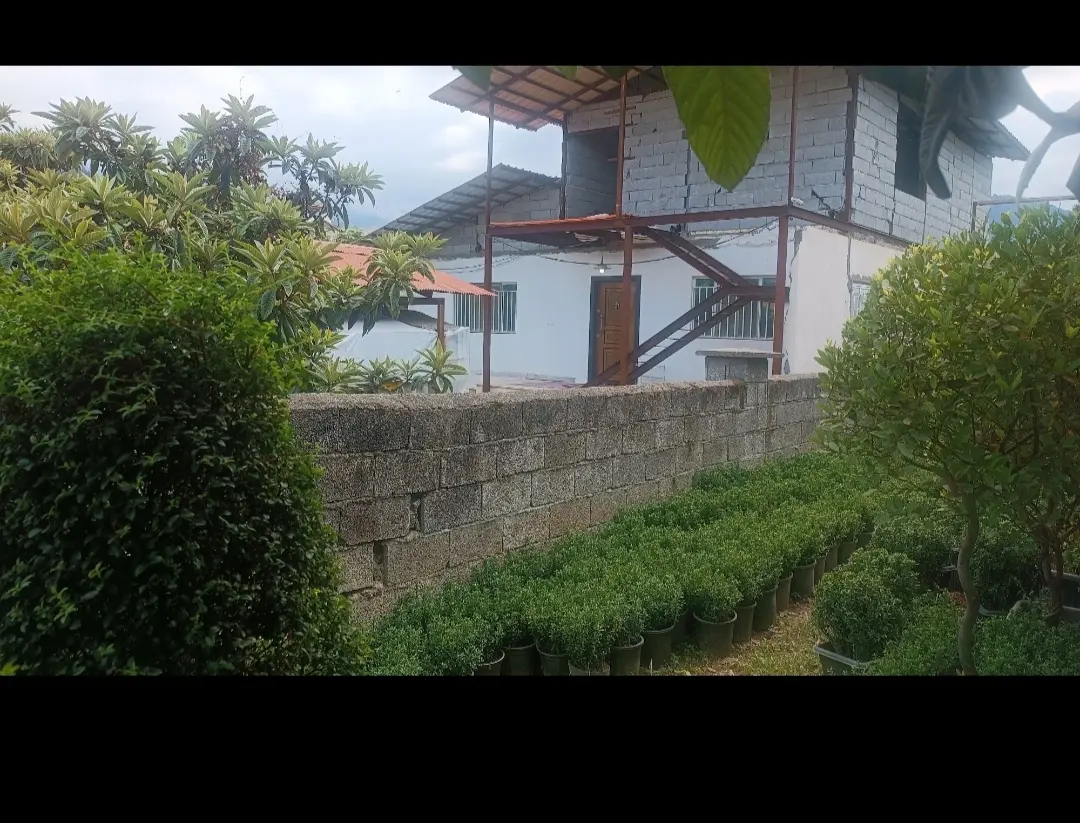 ویلای دربستی جوان