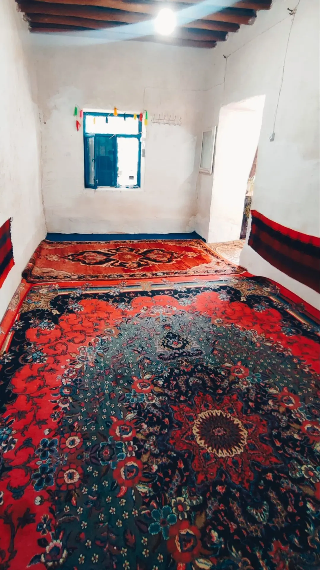 بومگردی سیمر
