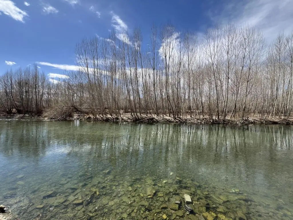 دوخوابه چناران پارک واحد 113