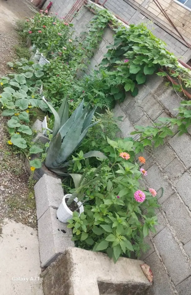 ویلای دوخوابه کاسپین