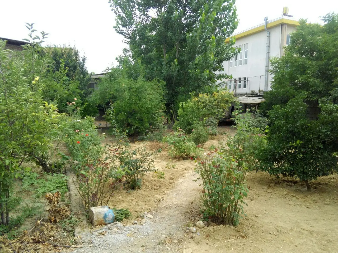 اجاره ویلا باغ در ساری لوکس
