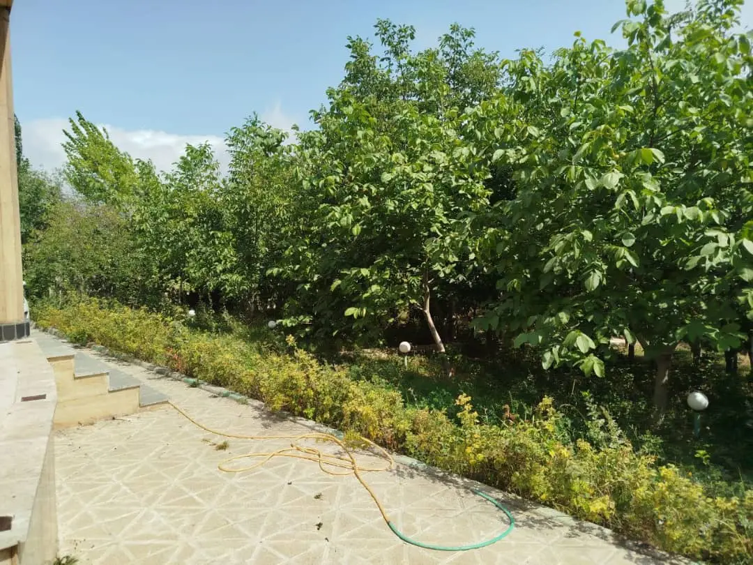 اتاق کرسی