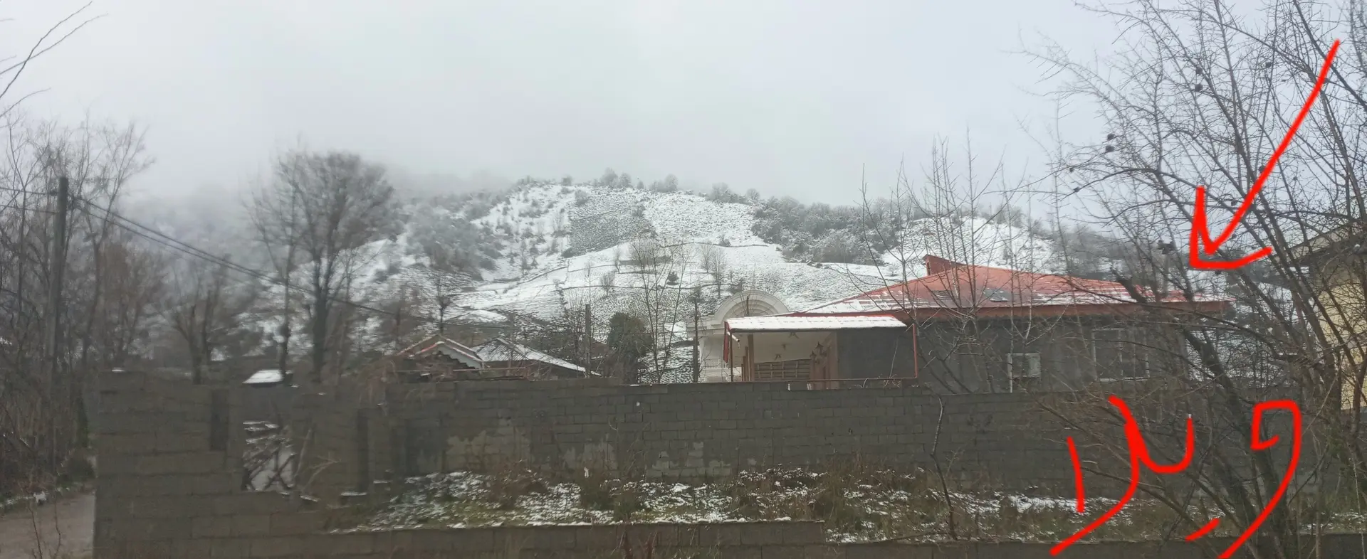 ویلا روستایی جنگلی شاملی