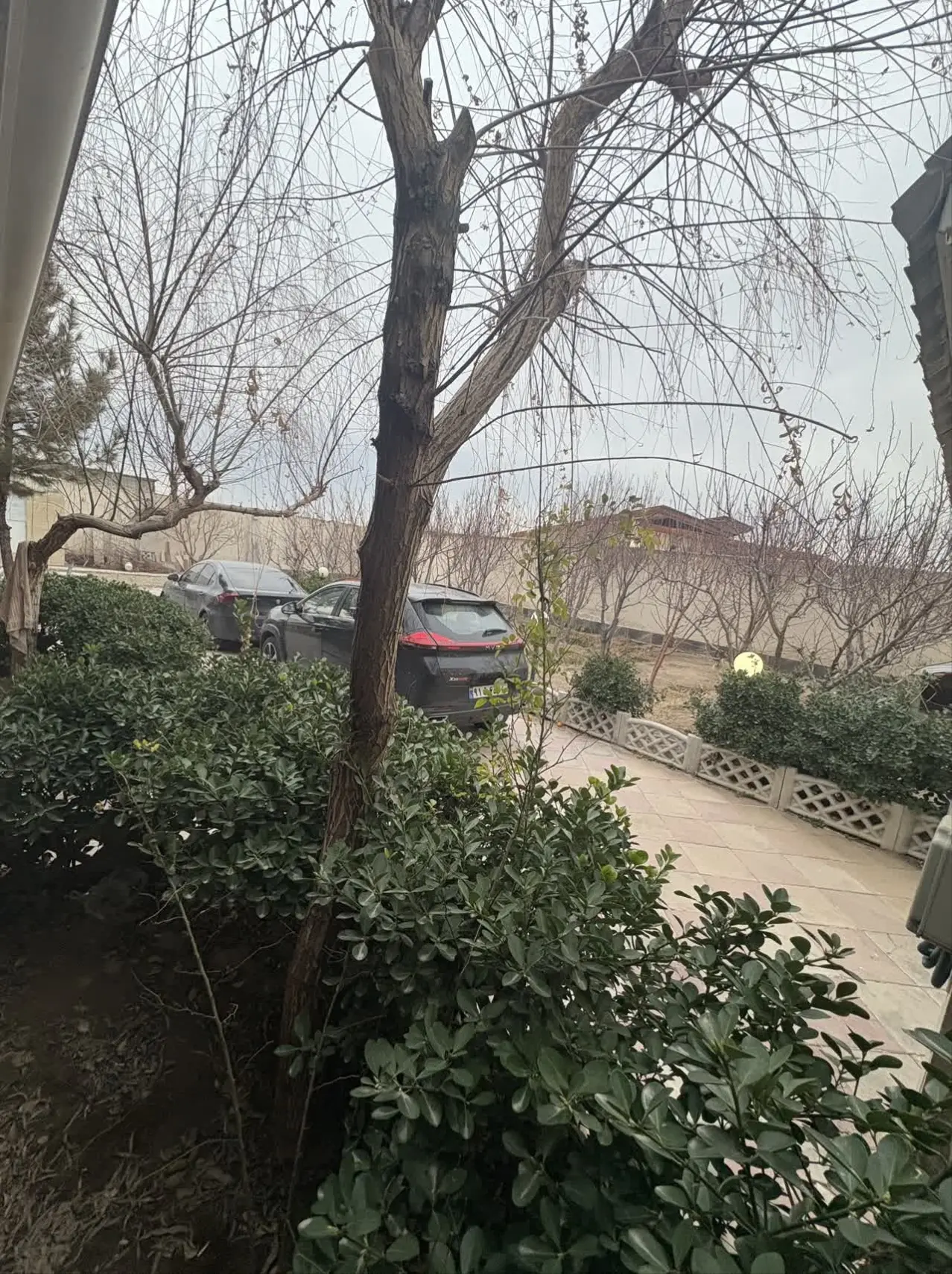 ویلا تک خوابه دنج ییلاقی