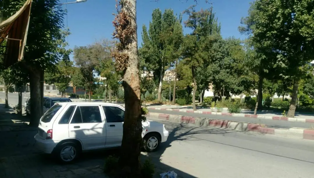 سوییت فول امکانات مرکز شهر سنندج