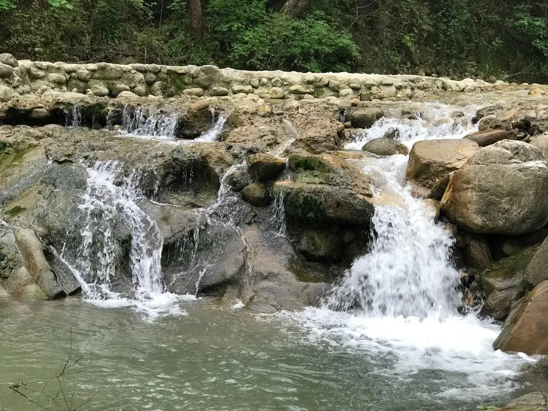ویلای دو خواب جنگلی کنار رودخانه