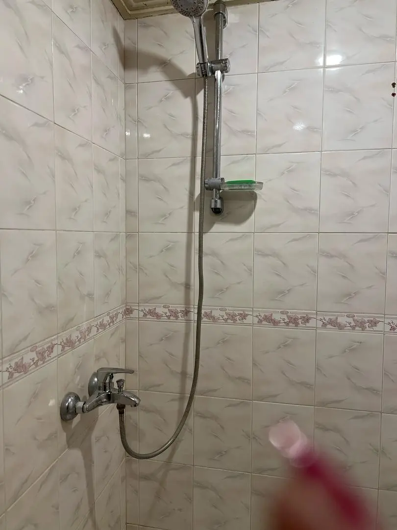 تک خوابه آفتابگردان