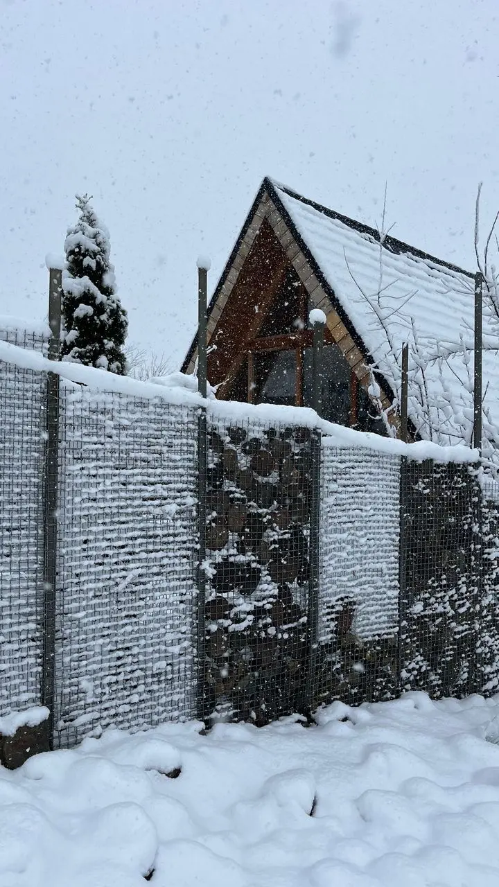 رزرو کلبه سوئیسی چوبی در کلاردشت