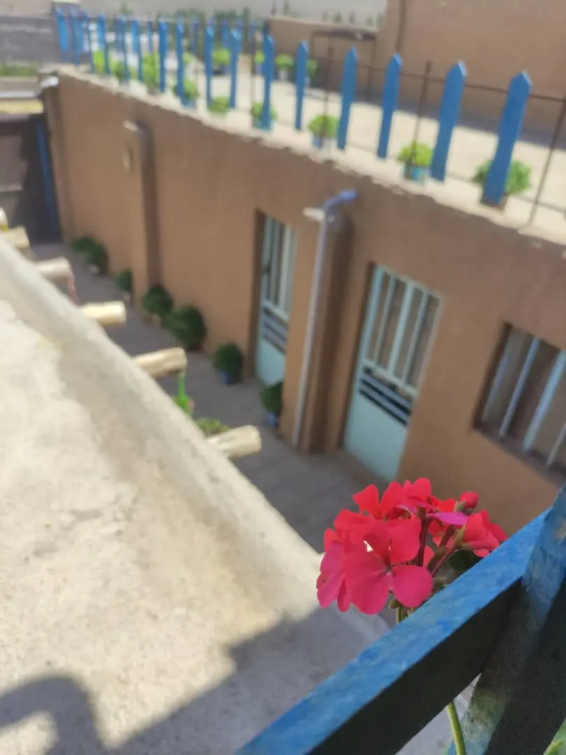 تک خوابه بلند آرام واحد شاه پسند