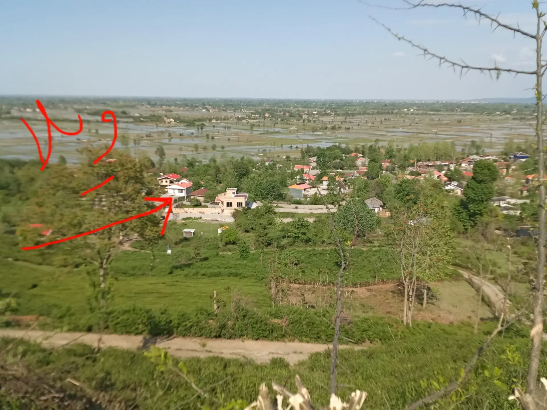 ویلا روستایی جنگلی شاملی