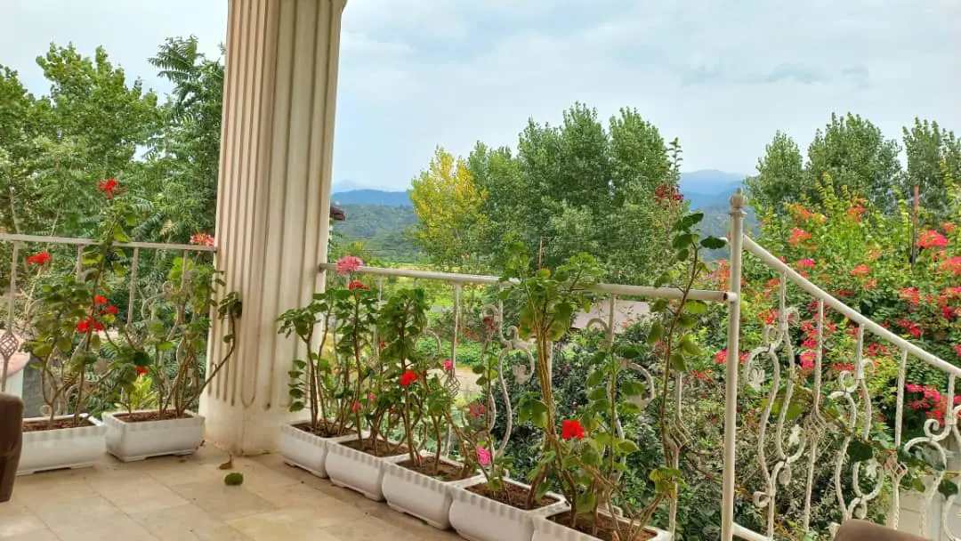 ویلای تکخواب جنگلی کوهستانی  