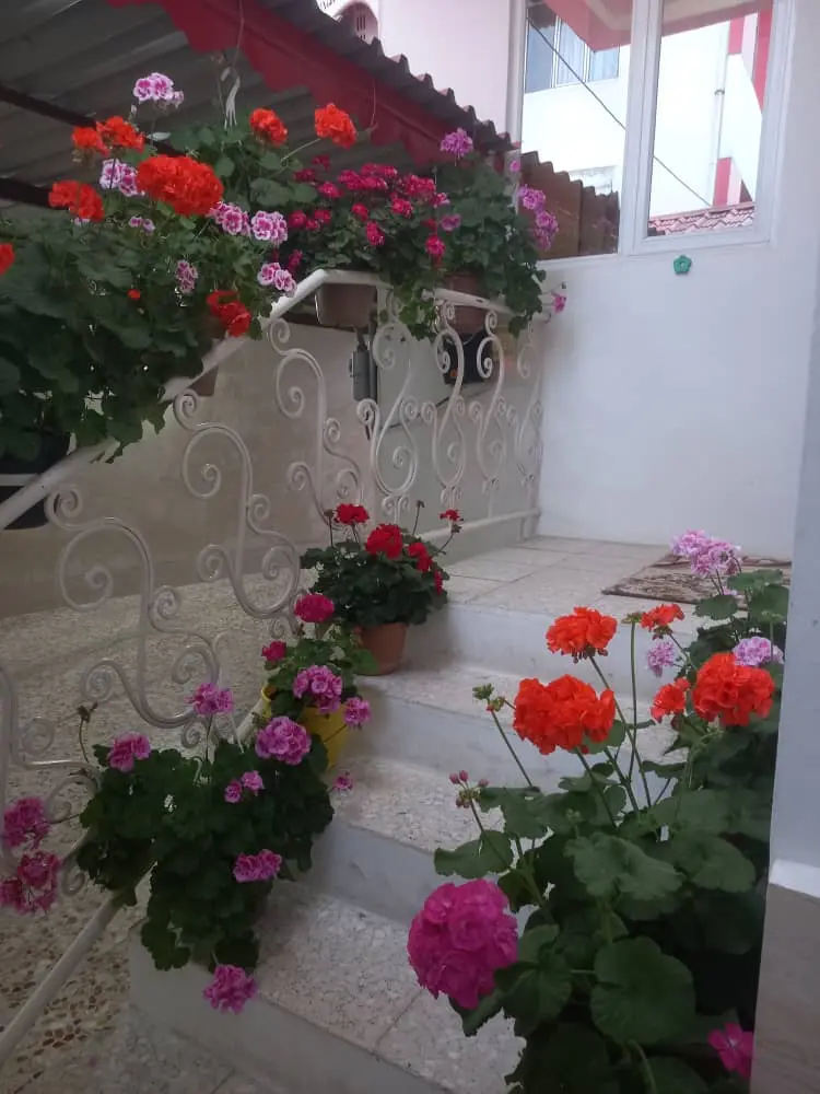 سوئیت دو خواب آستارا