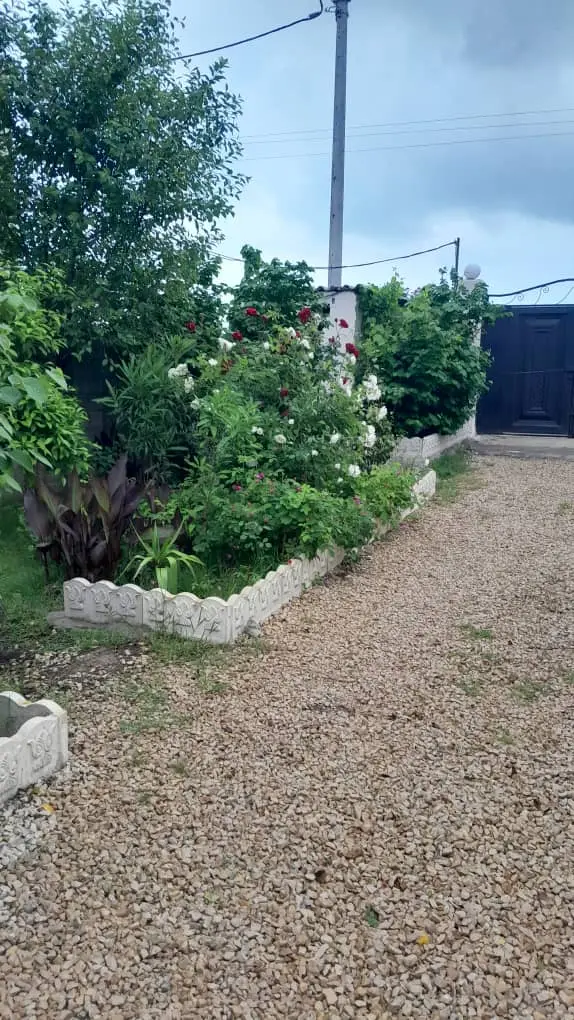 ویلایی تک خواب مثبت یک ساحلی