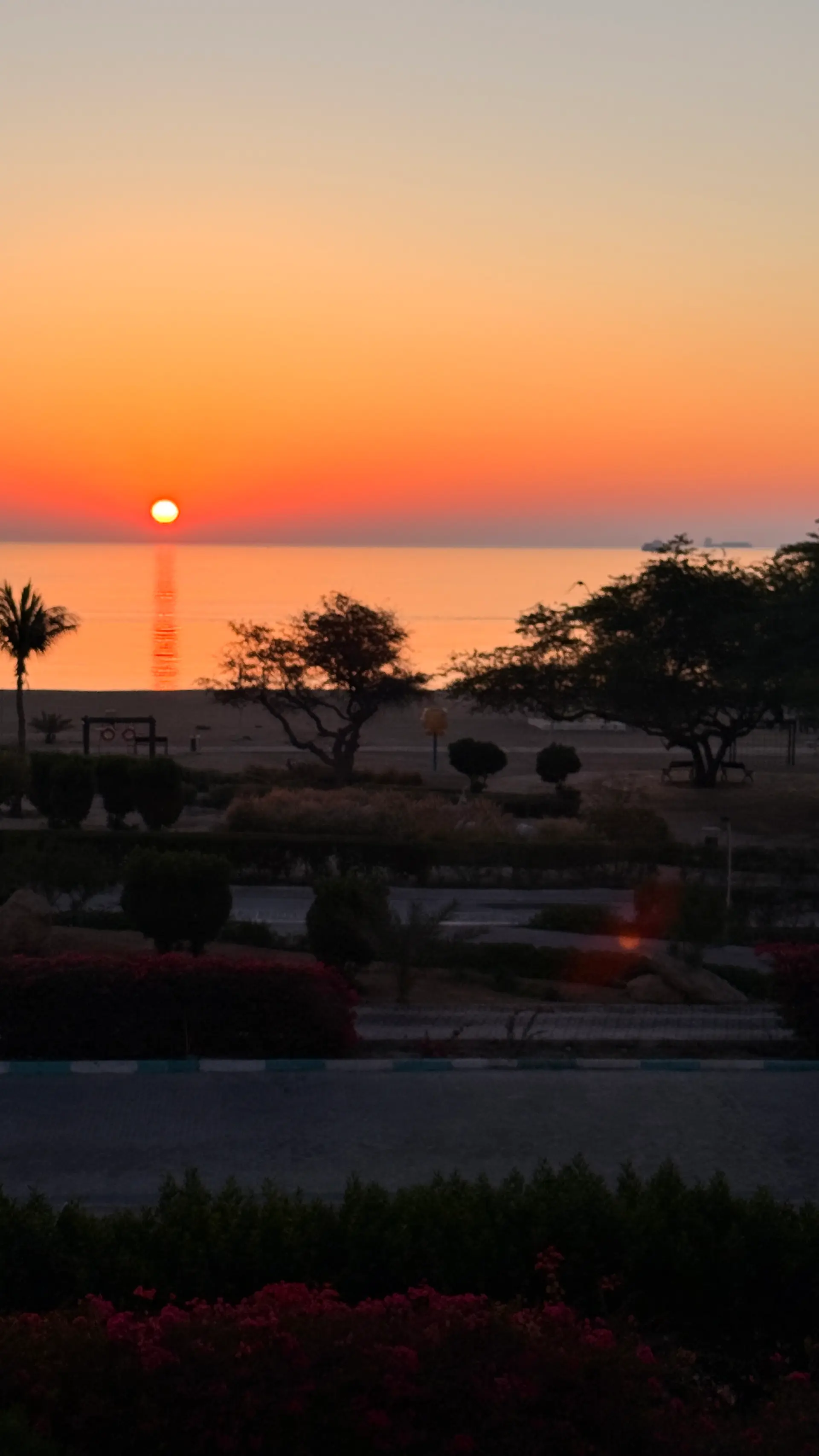 اجاره روزانه سوئیت در دامون ساحلی کیش 