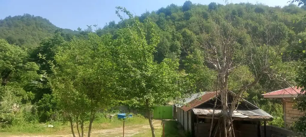 خانه ویلایی دو خواب سرسبز