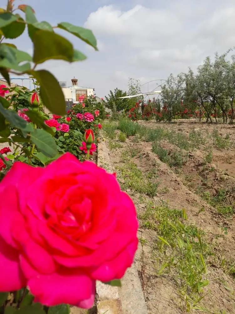 ویلای دو سوئیته حیدر در روستای خیبری