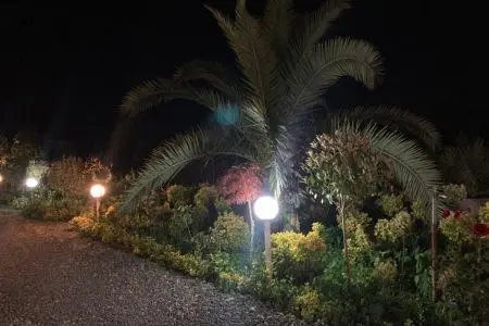سوئیت بدون خواب با ویو جنگل